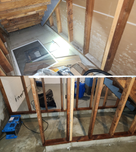 basement mold 1